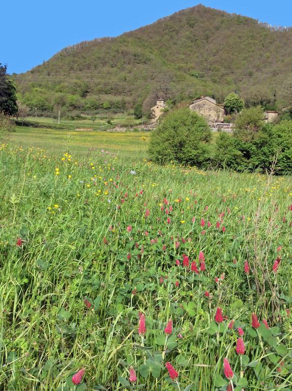 Pieve Di Ca Maggiore Firenzuola Eksteriør bilde